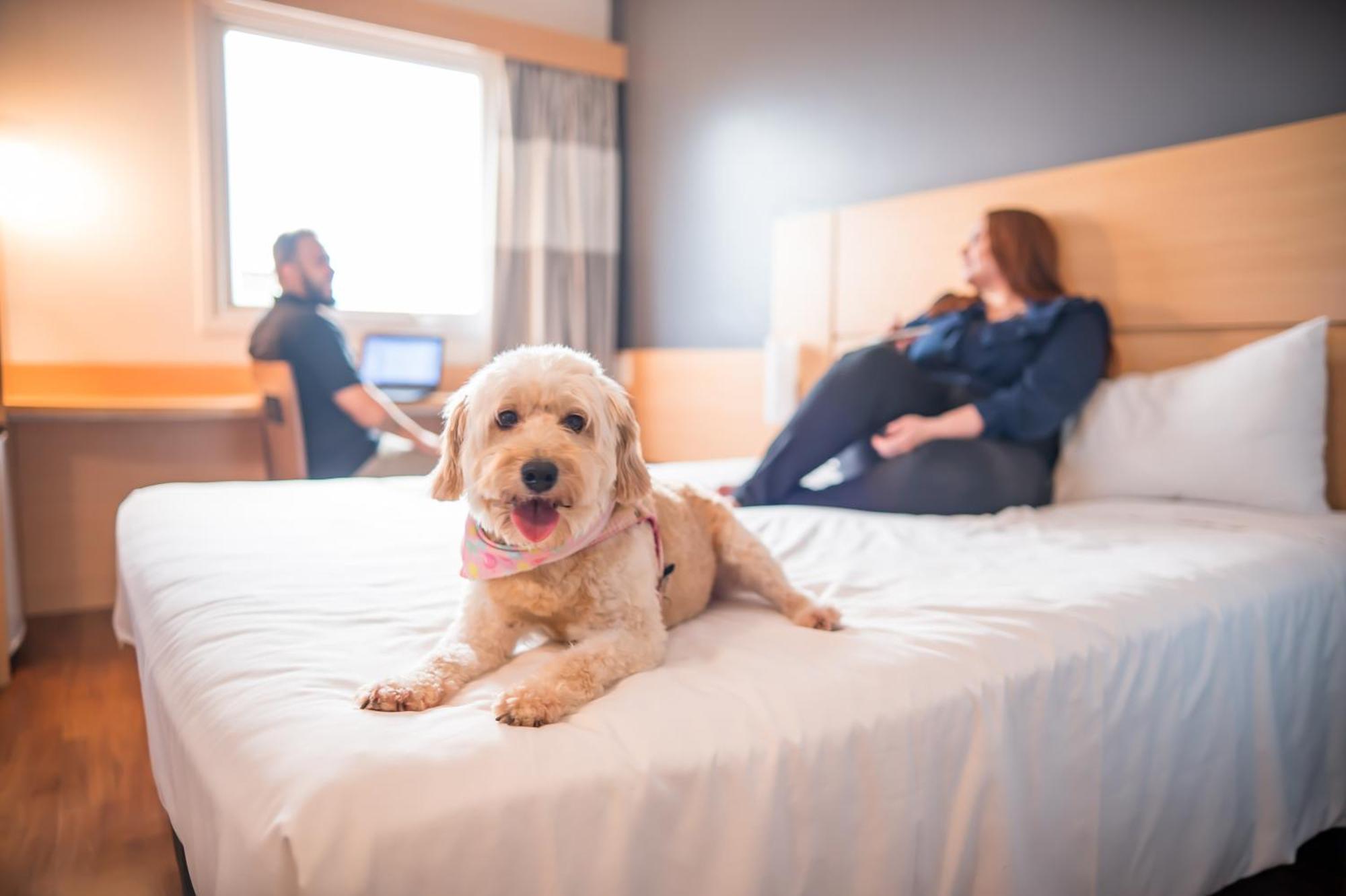 Ibis Itu Plaza Shopping Hotell Eksteriør bilde